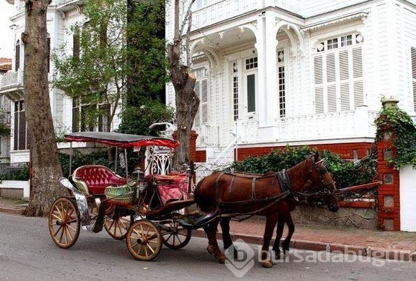 Türkiye'nin en güzel adaları
