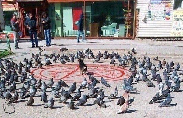 Günün birbirinden ilginç kareleri!