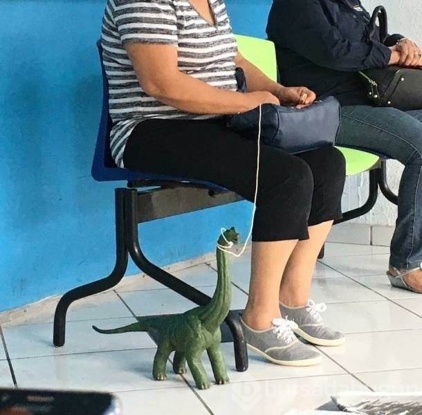 Günün birbirinden ilginç kareleri!
