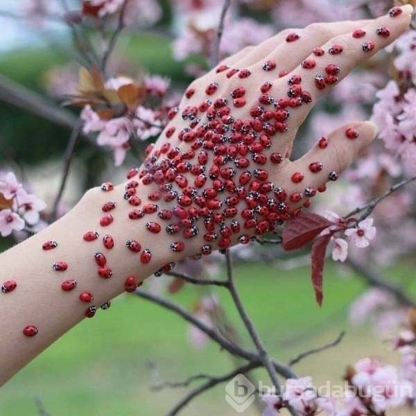 Bakmaya doyamayacağınız fotoğraflar