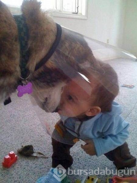 Bakmaya doyamayacağınız fotoğraflar