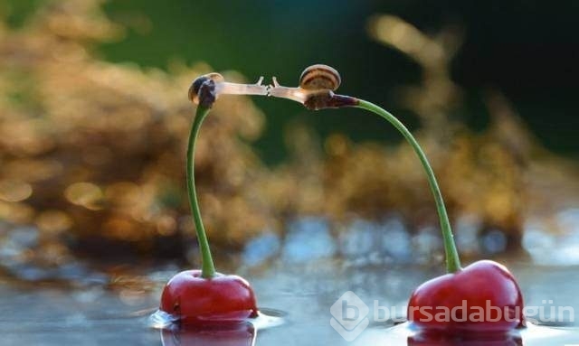 Bakmaya doyamayacağınız fotoğraflar