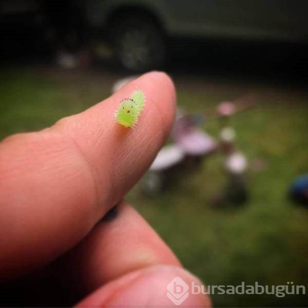 Bakmaya doyamayacağınız fotoğraflar
