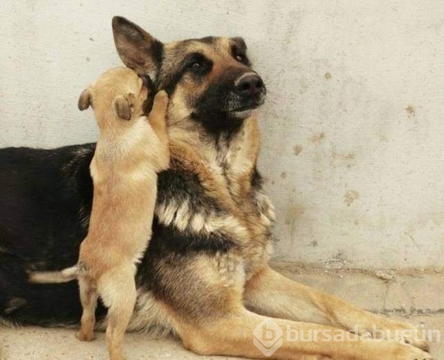 Bakmaya doyamayacağınız fotoğraflar