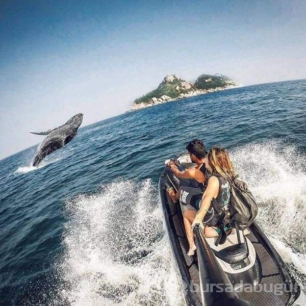 Bakmaya doyamayacağınız fotoğraflar