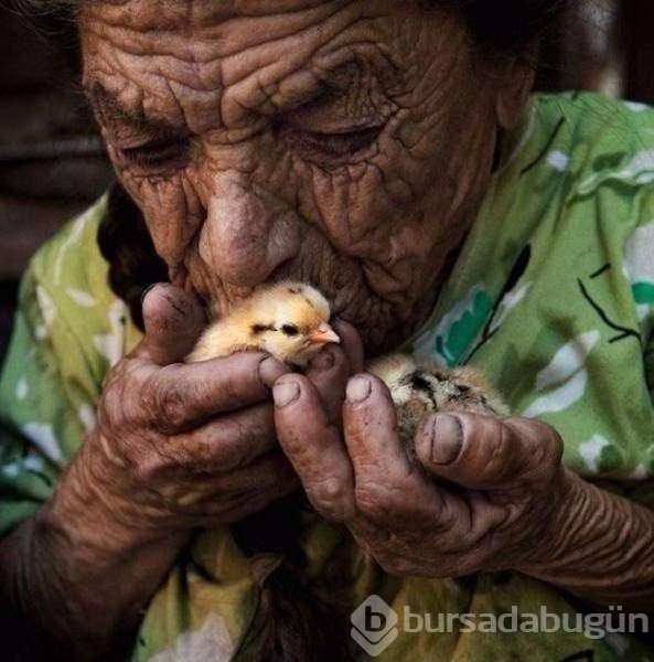 Bakmaya doyamayacağınız fotoğraflar