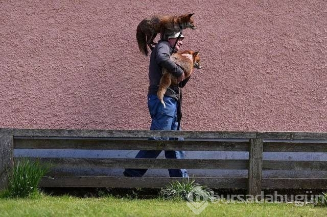 Bakmaya doyamayacağınız fotoğraflar