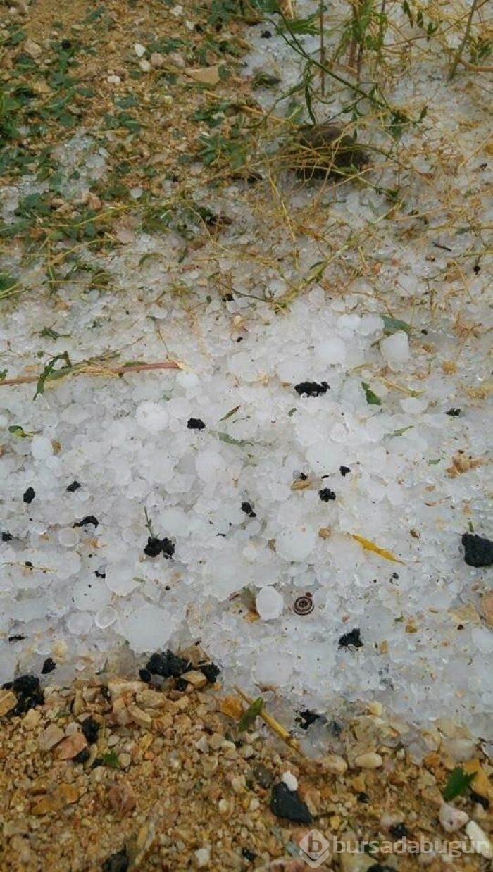 Bu manzara görenleri şoke etti!