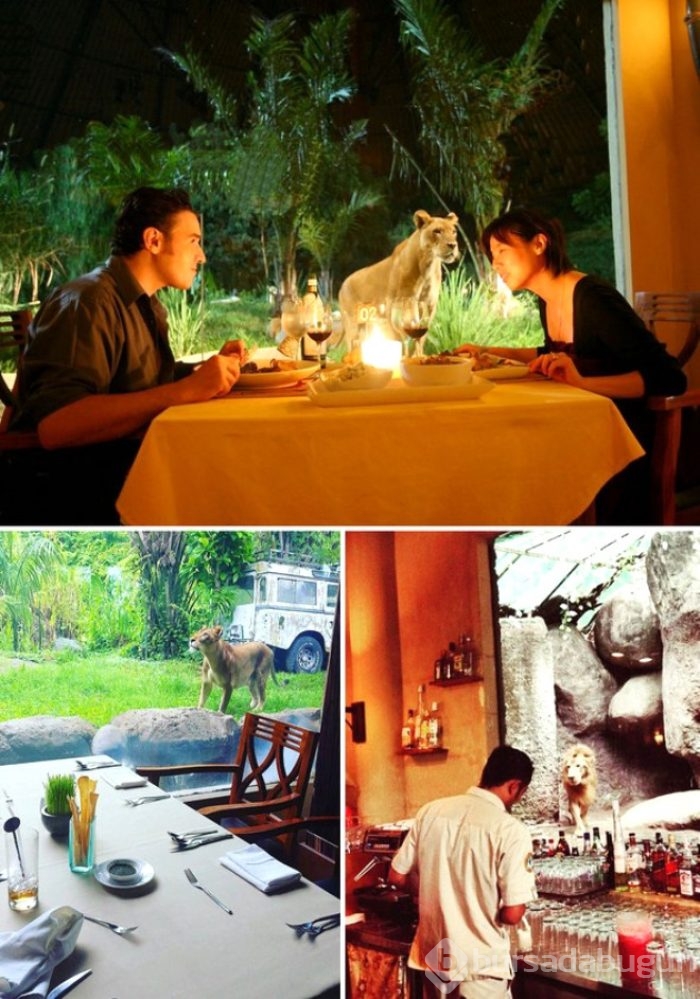 Dünyanın en ilginç restoranları