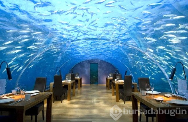 Dünyanın en ilginç restoranları