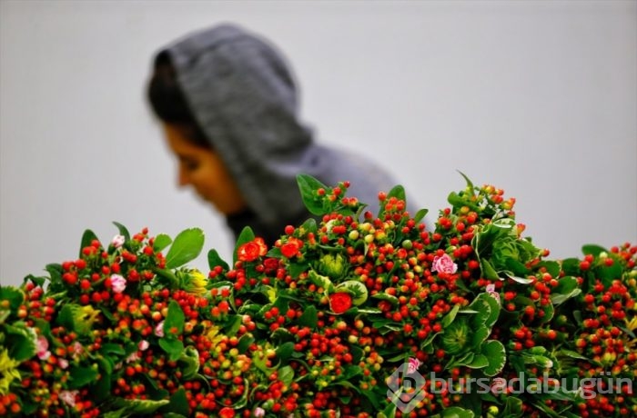 Türkiye'nin 'Çiçek'açan şehri