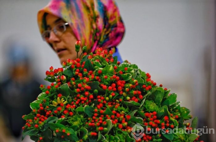 Türkiye'nin 'Çiçek'açan şehri