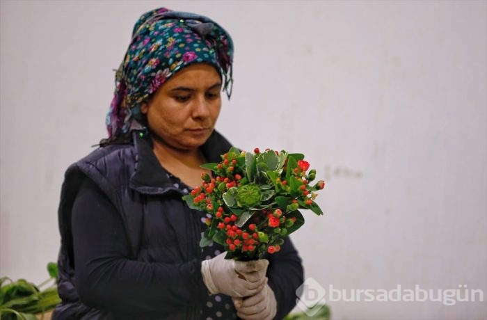 Türkiye'nin 'Çiçek'açan şehri