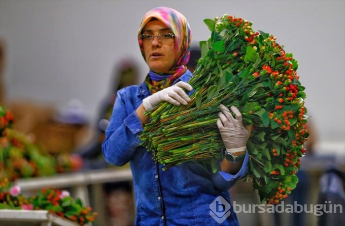 Türkiye'nin 'Çiçek'açan şehri