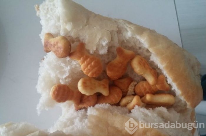 Üşengeç insanların basit çözümleri
