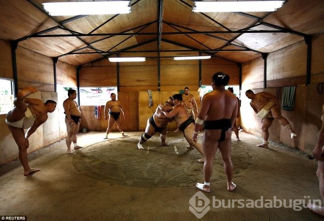 Sumo Güreşçilerinin habersiz çekilen fotoğrafları