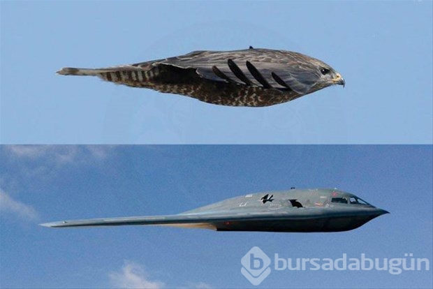 Dünyanın en pahalı 10 uçağı