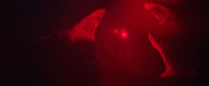 In the Deep