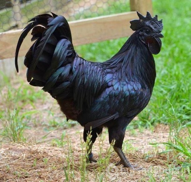 Günün ilginç kareleri