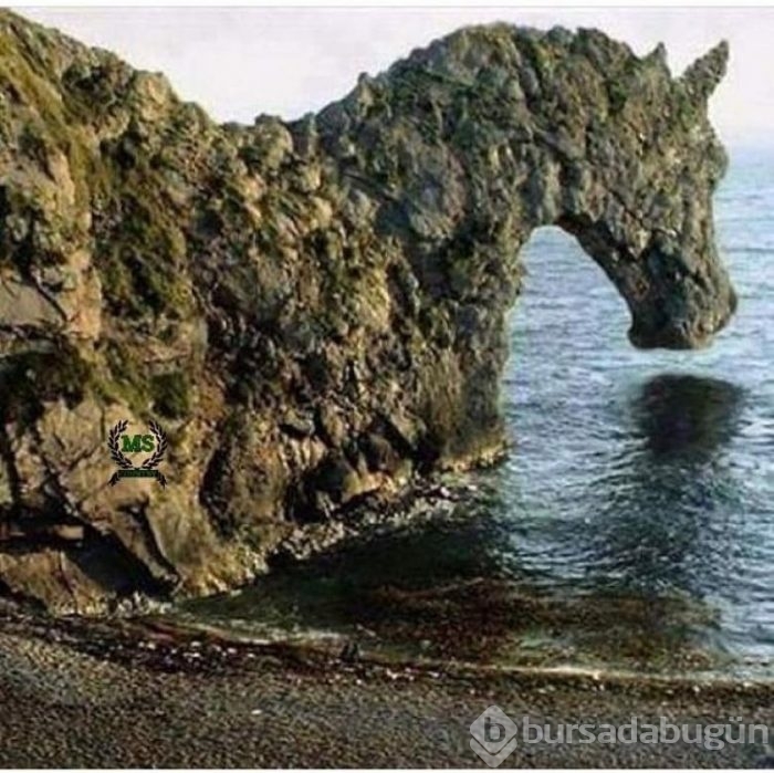 Doğal yoldan şekillendiler