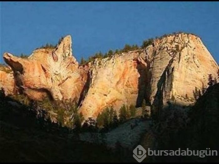 Doğal yoldan şekillendiler