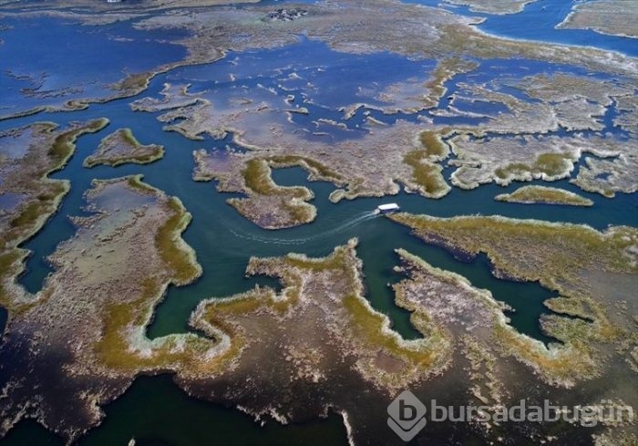 Dolmuş teknelerin labirent yolculuğu