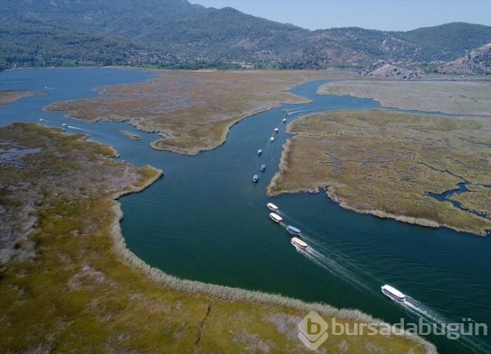 Dolmuş teknelerin labirent yolculuğu