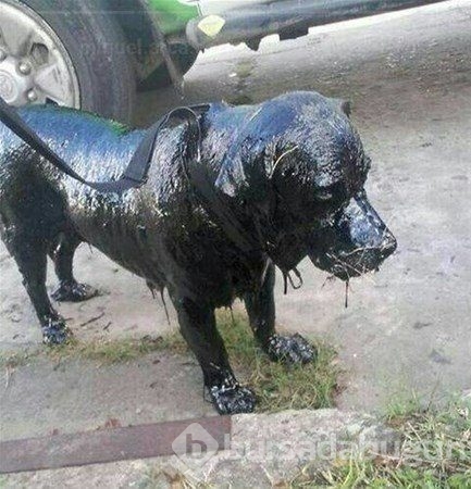 Bakın nasıl değiştiler!