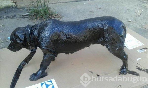 Bakın nasıl değiştiler!