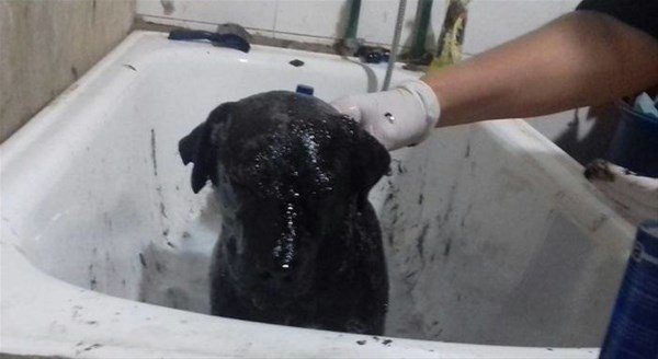 Bakın nasıl değiştiler!