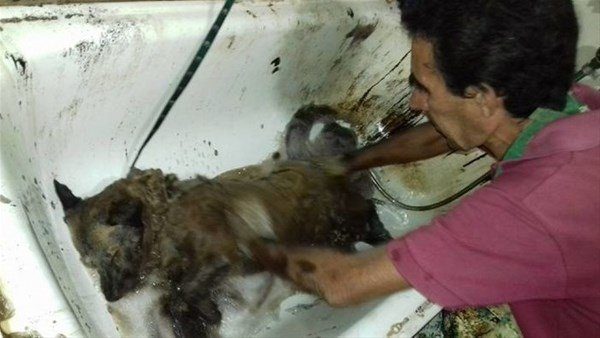 Bakın nasıl değiştiler!