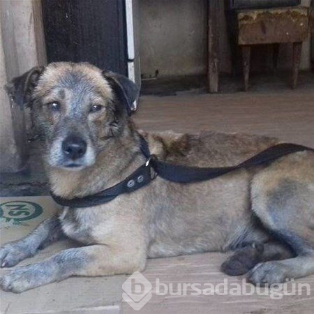 Bakın nasıl değiştiler!