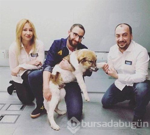 Bakın nasıl değiştiler!