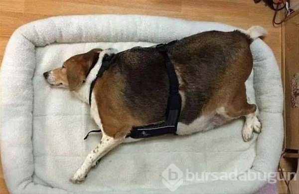 Bakın nasıl değiştiler!