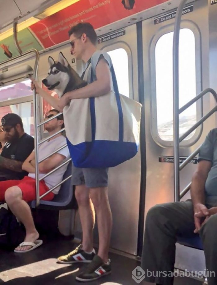 Metroda karşılaşabileceğiniz ilginç manzaralar