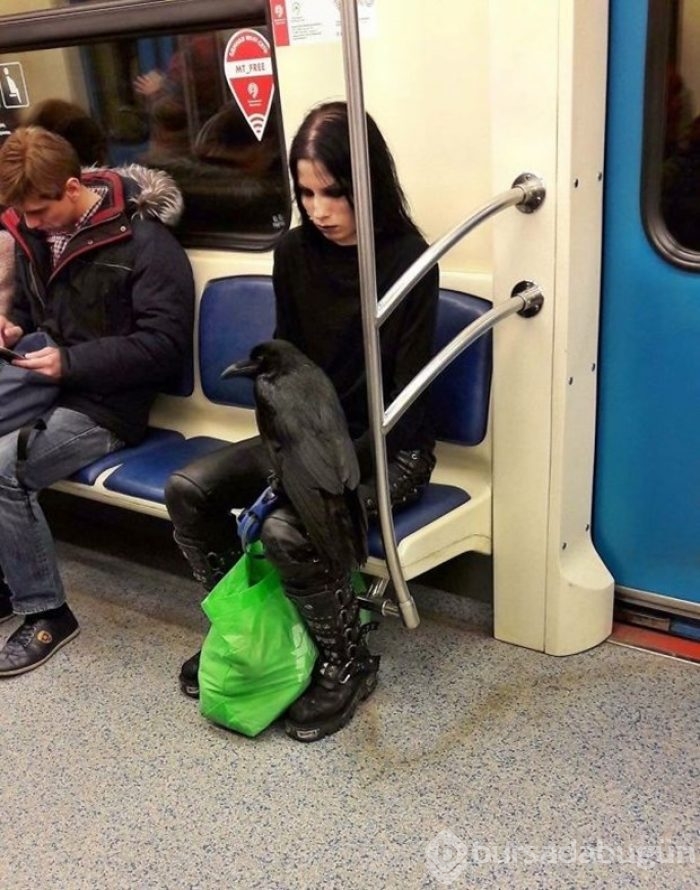 Metroda karşılaşabileceğiniz ilginç manzaralar