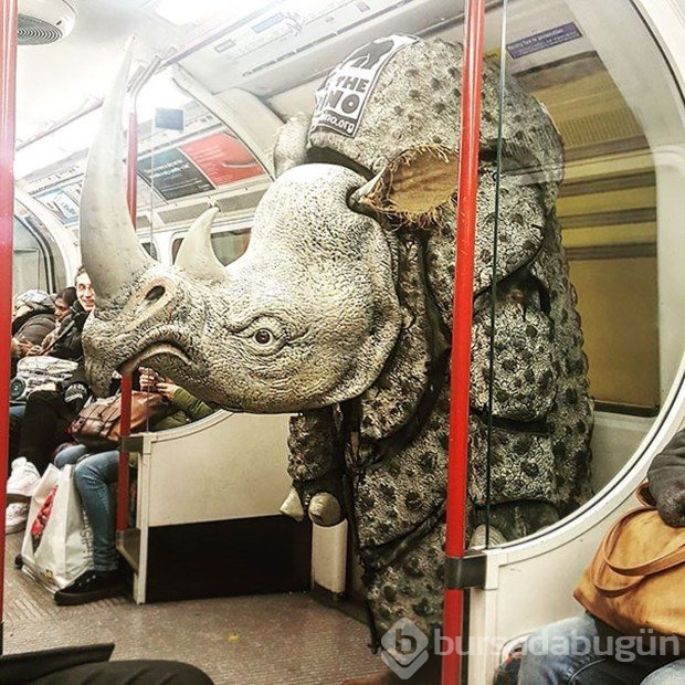 Metroda karşılaşabileceğiniz ilginç manzaralar