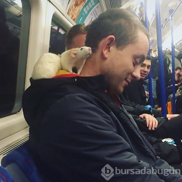Metroda karşılaşabileceğiniz ilginç manzaralar