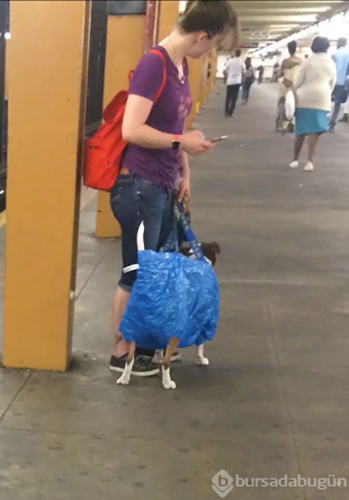 Metroda karşılaşabileceğiniz ilginç manzaralar