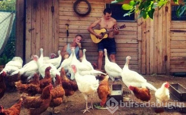 Haftanın en çok paylaşılan fotoğrafları