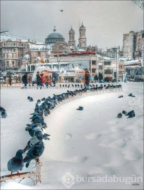 Haftanın en çok paylaşılan fotoğrafları