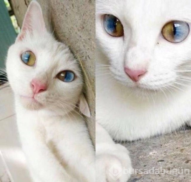 Haftanın en çok paylaşılan fotoğrafları