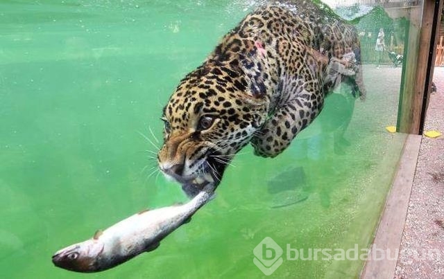 Haftanın en çok paylaşılan fotoğrafları