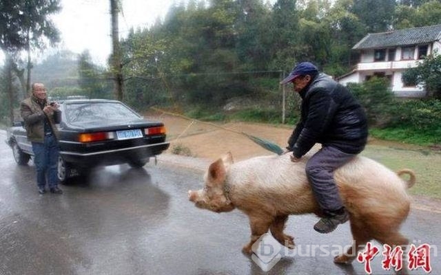 Haftanın en çok paylaşılan fotoğrafları