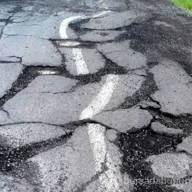 Haftanın en çok paylaşılan fotoğrafları