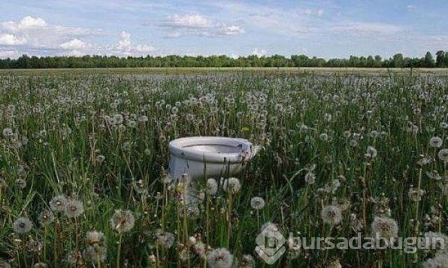 Haftanın en çok paylaşılan fotoğrafları