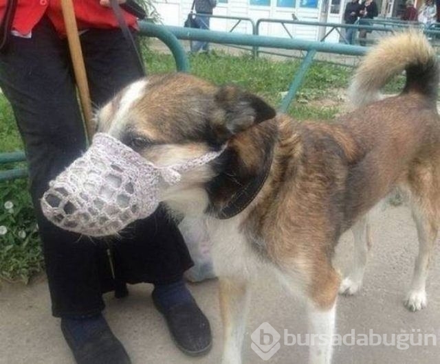 Haftanın en çok paylaşılan fotoğrafları