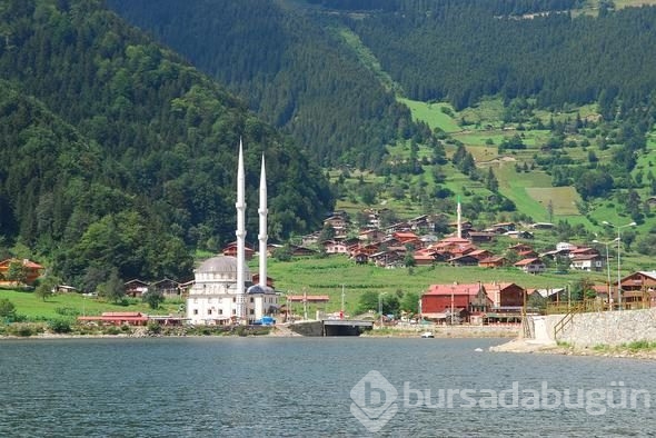 Türkiye'nin en mutsuz illeri! Bakın sizin memleketiniz ne kadar mutsuz?
