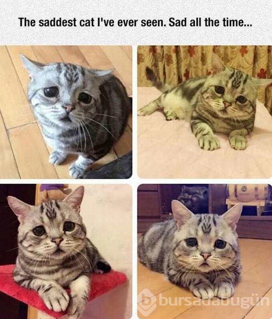 En ilginç fotoğraflar
