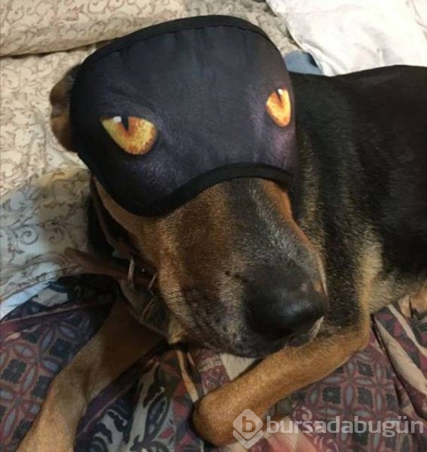 En ilginç fotoğraflar
